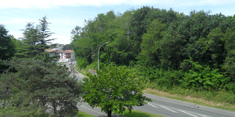 appartement à ST JEAN DE LUZ (64500)